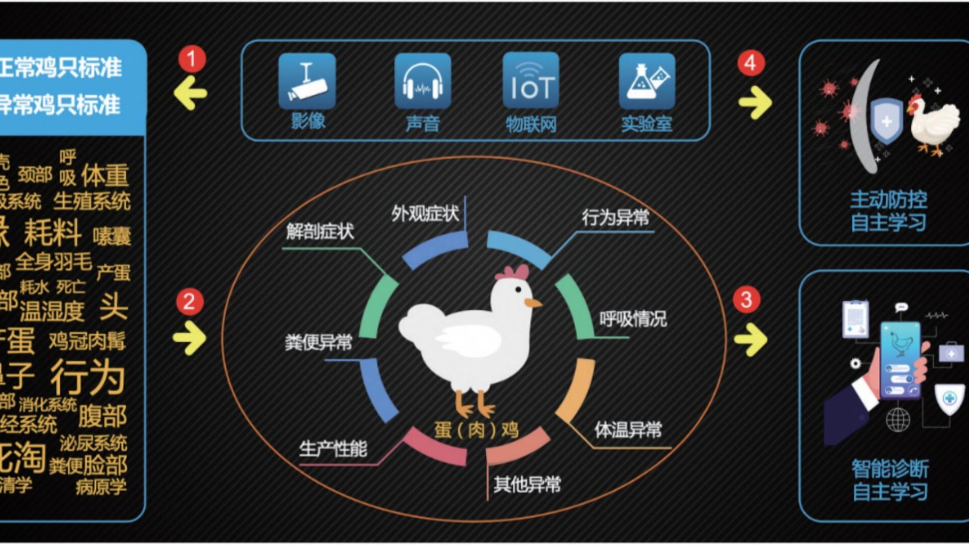 中國(guó)特色規(guī)模蛋雞養(yǎng)殖家禽獸醫(yī)發(fā)展方向