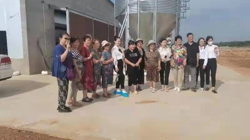 陜西銅川紅土鎮(zhèn)全自動(dòng)雞舍完工！