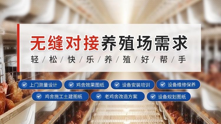 雞舍采用縱向通風的注意事項