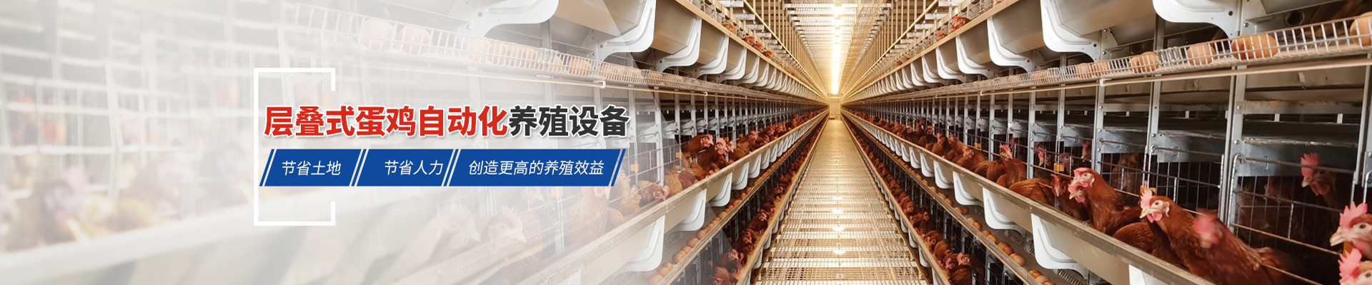 層疊式蛋雞自動(dòng)化養(yǎng)殖設(shè)備