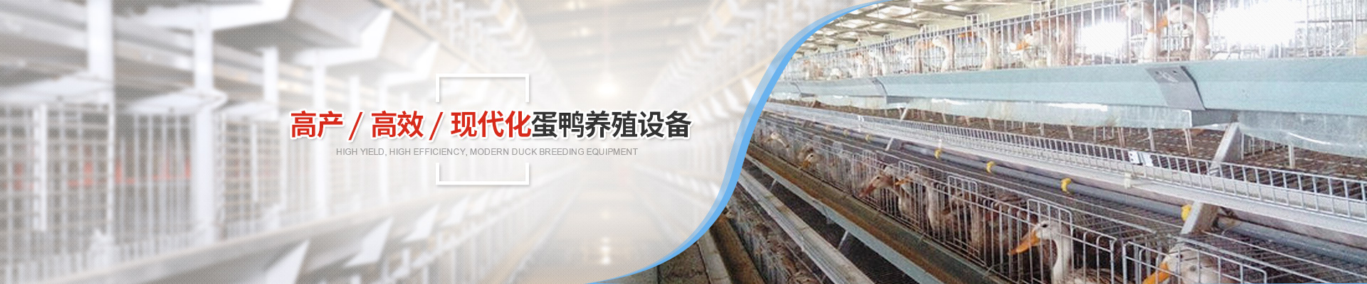 高產/高效/現代化蛋鴨養(yǎng)殖設備