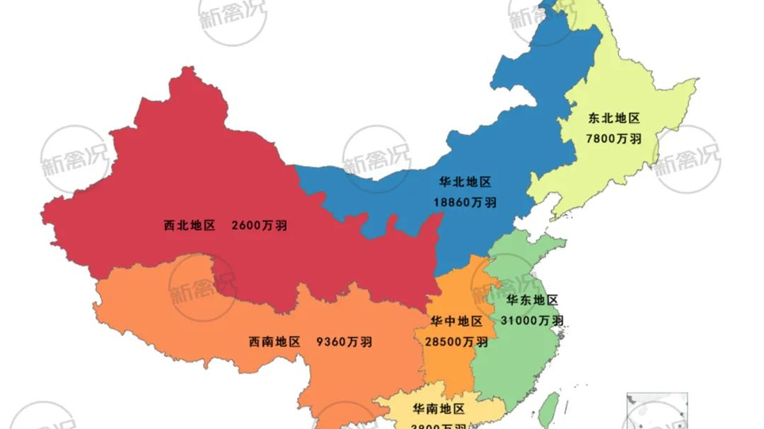 收藏！2023年我國(guó)蛋雞存欄分布地圖【數(shù)說(shuō)禽事】